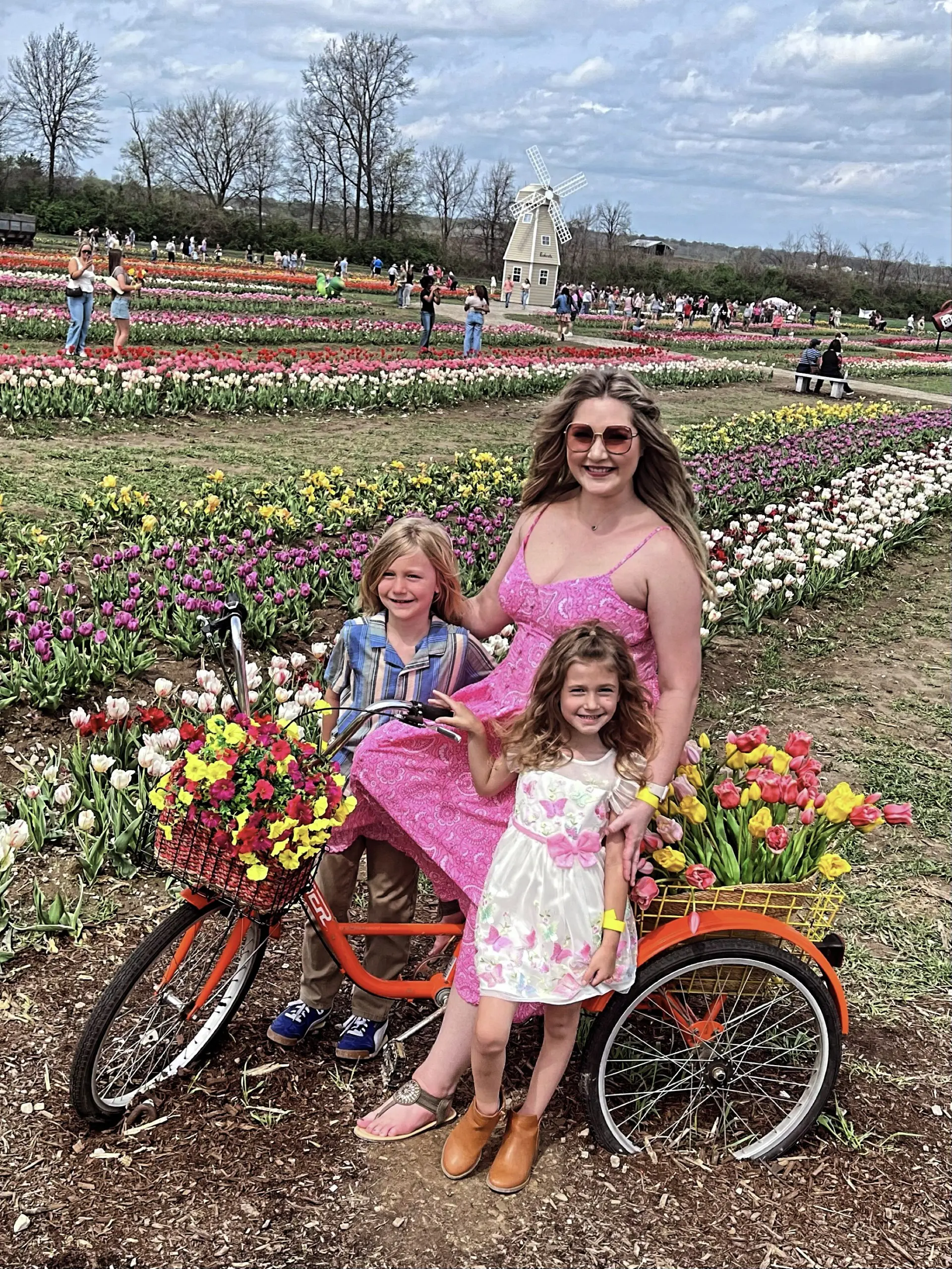tricycle in tulips