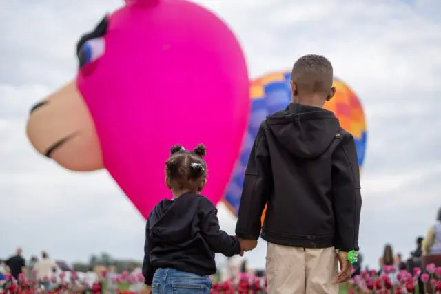 hot air balloons in tulip field