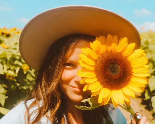 sunflower fun