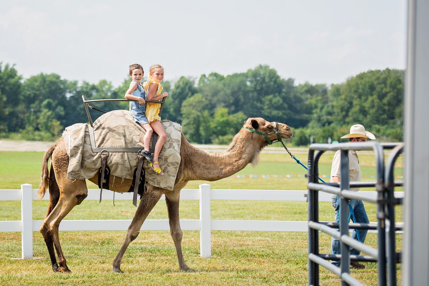 A picture of two children riding on a camel