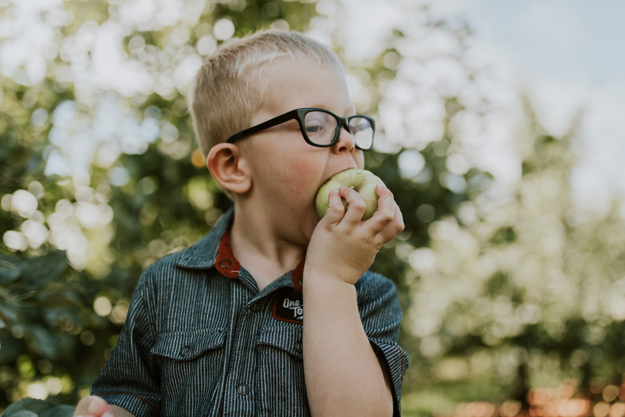 A picture of a blonde boy biting into an apple