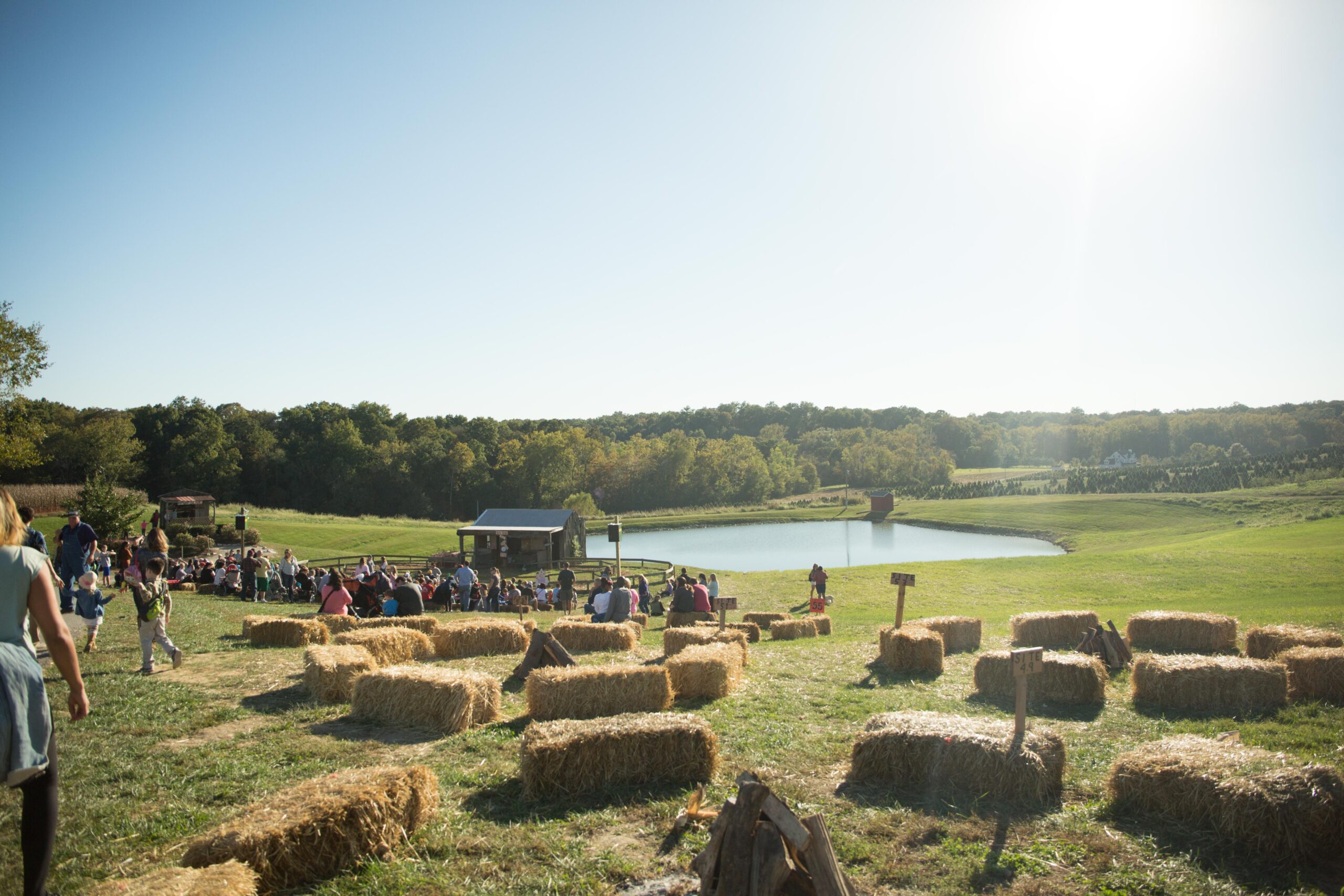 A sunny outdoor gathering with hay bales for seating near a pond under a clear sky.