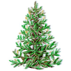 An illustration of a Christmas tree