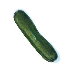 An illustration of a cucumber