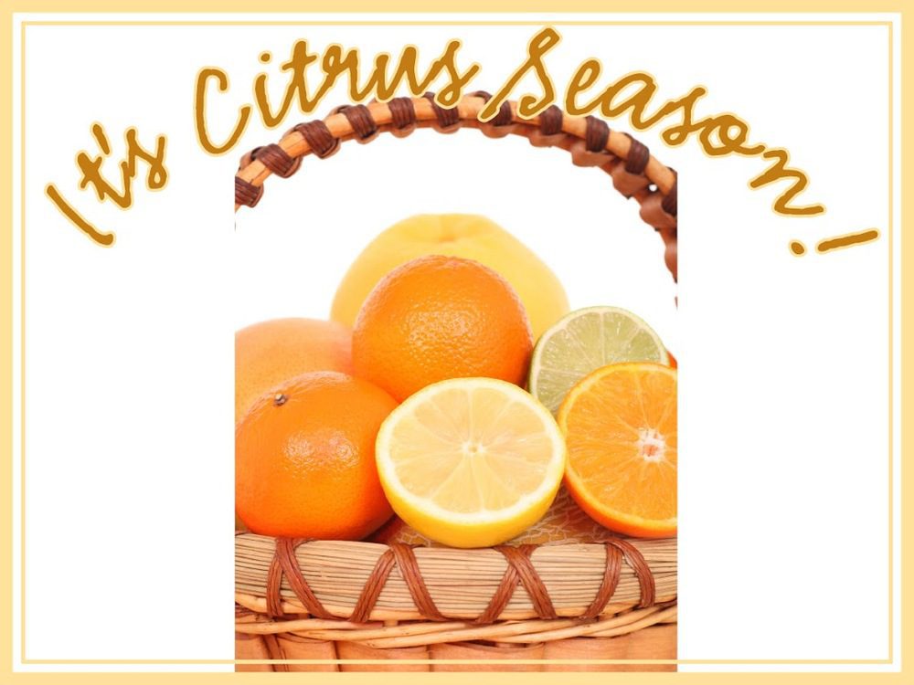 The Season of Citrus