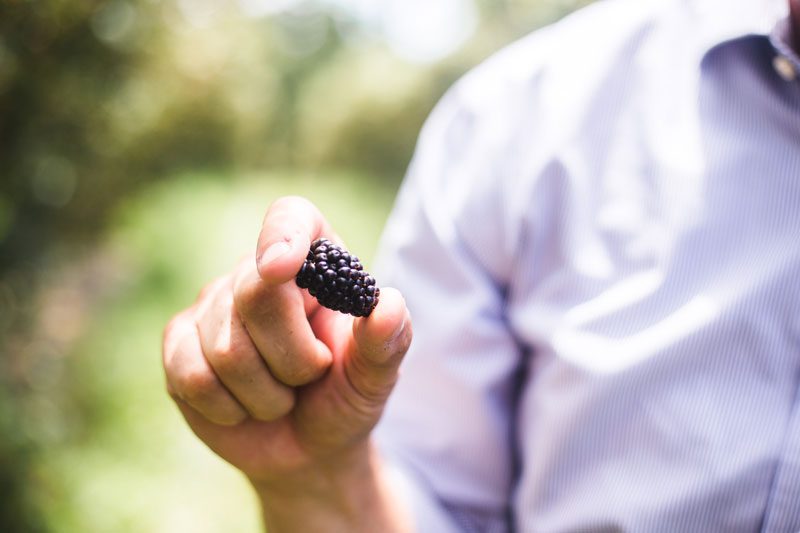 A picture of a man holding a blackberry