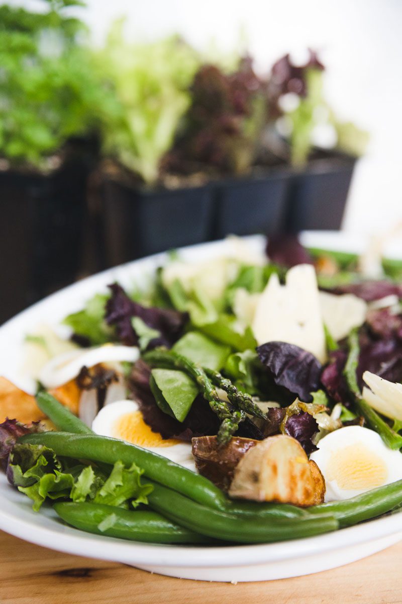 Spring-Salad-with-Herbs-1.jpg
