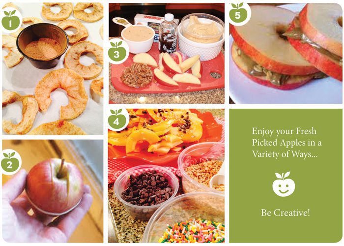 5 Fun Ways to Enjoy Fresh Picked Apples from Eckert's Eckert's