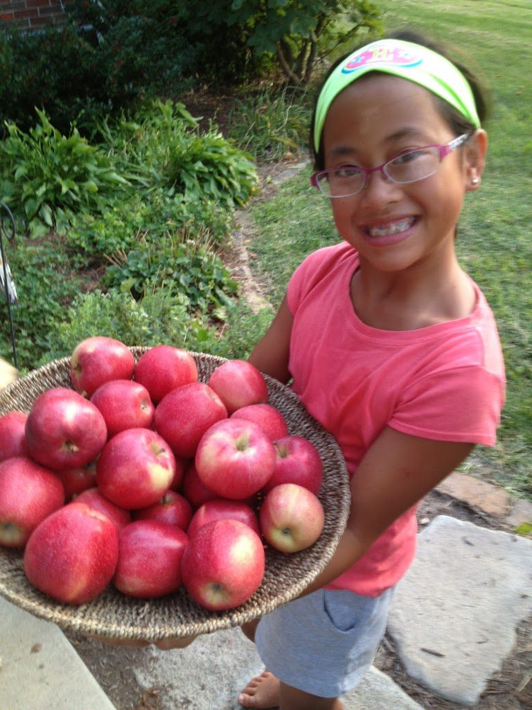 Pick Your Own Gala Apples