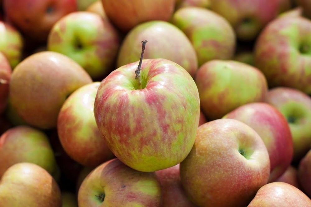 Honeycrisp Apples - 1/2 peck