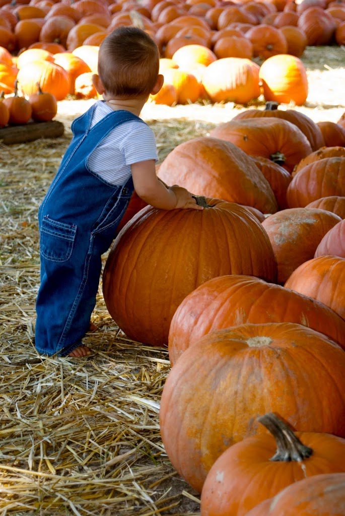 pumpkin-picking-200x3001.jpg