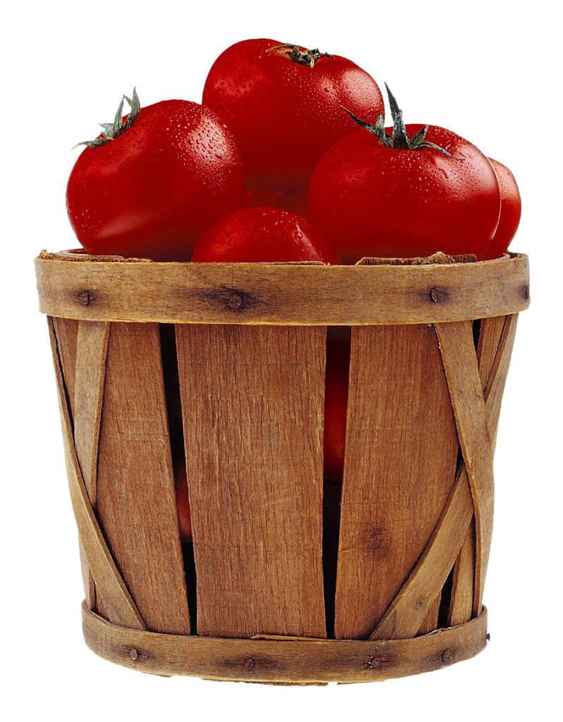 tomato-basket-in-color.jpg