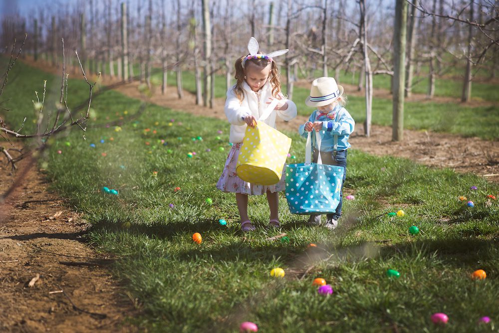 adorable children dressed in easter regalia finding eggs